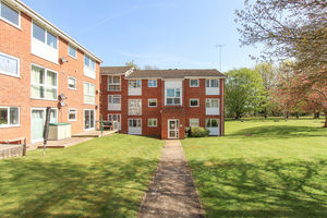 Photo 11- click for photo gallery